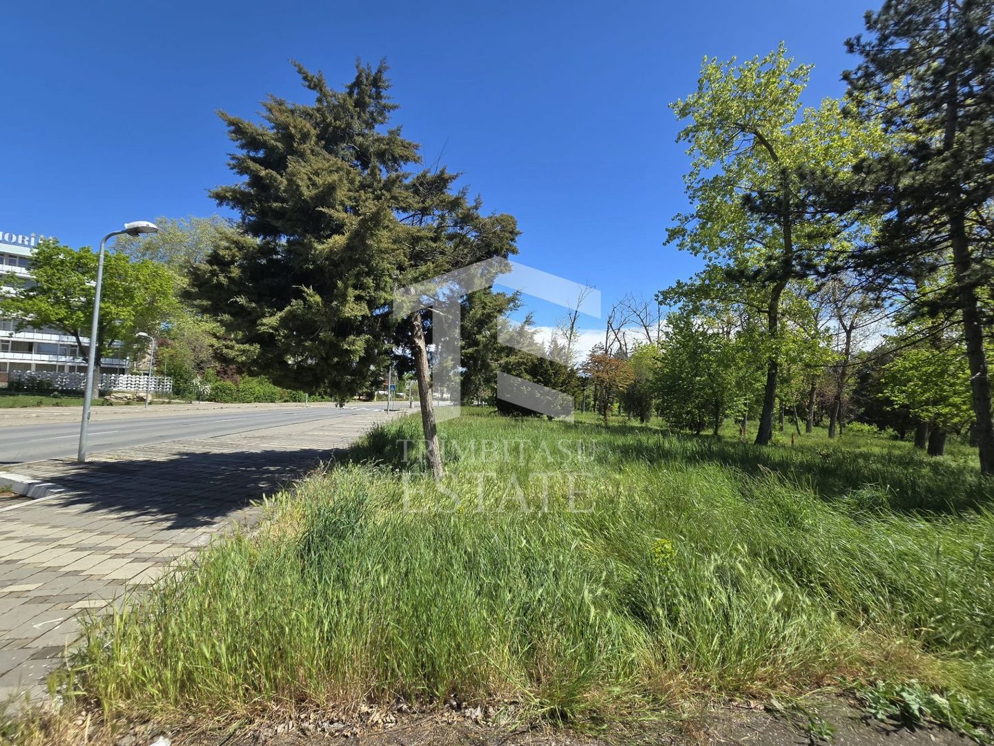 🏖 Teren de vanzare in Neptun – O oportunitate rara de investitie. - Poză 9