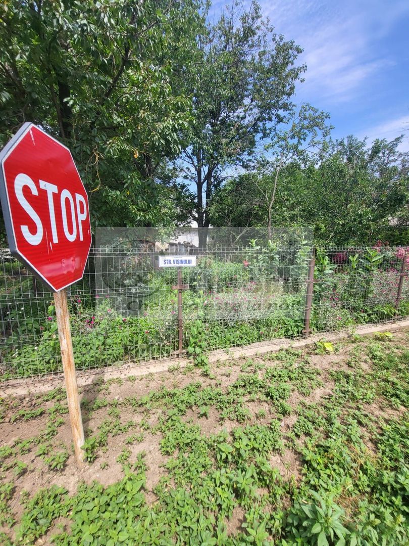 Casă individuala 4000mp teren com Alexandru Ioan Cuza sat Kogalniceni - Poză 30