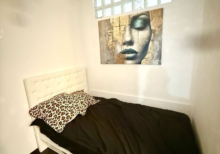 Apartament cu o camera | Iulius Mall | FSEGA - Poză 4