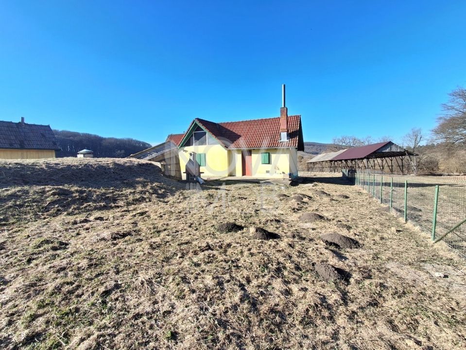 Ferma complet echipata de vanzare – zona Agnita, judetul Sibiu - Poză 12