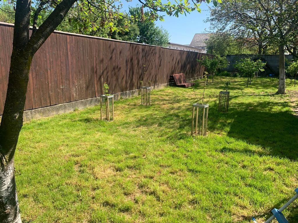 Casa individuala in Timisoara - Poză 7