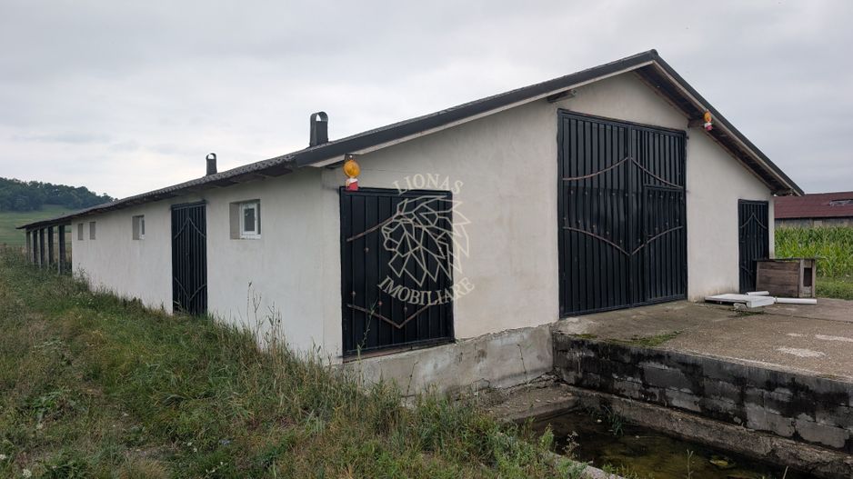 Hala Noua 400 mp-teren 5000 mp-ideal ferma, productie-Cepari - Poză 1