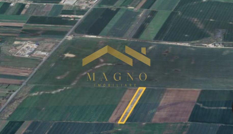 Oportunitate de investiti, teren 2HA intre Vladimirescu si Mandruloc - Poză 1