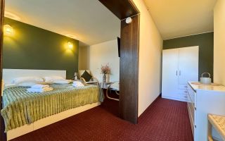 Vânzare Afacere Activa - Hotel - 4 Nivele 750 mp - Poză 10