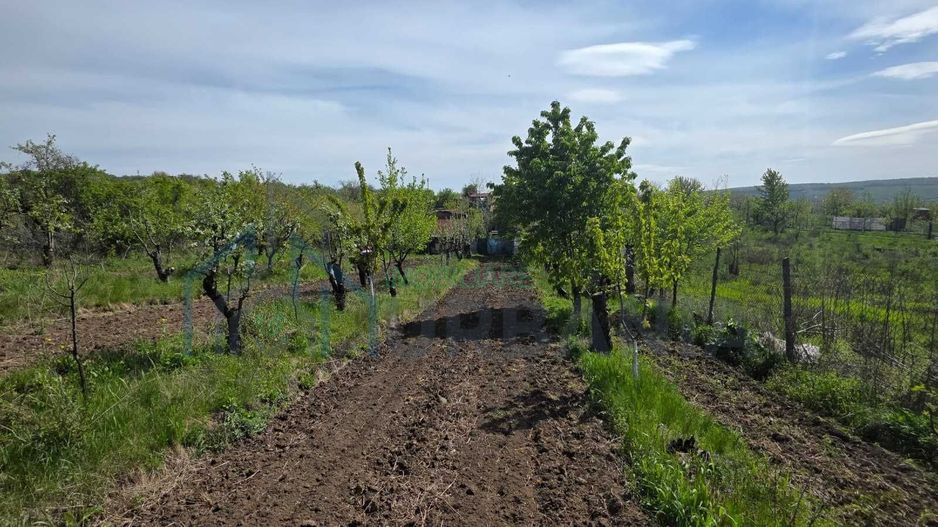 Teren intravilan 1500 mp, Tomesti – Chicerea, 10 km de Iasi, utilitati la limita - Poză 8