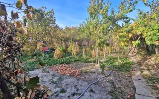 Vanzare casa cu teren 1800 mp, Pitesti str Bananai, la intrare - Poză 21