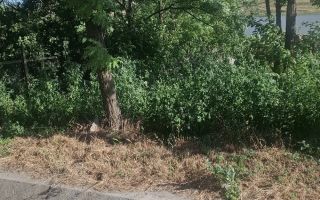 Casă de vânzare, sat Gropnița, teren 900 mp, 25 km de Iași - Poză 4