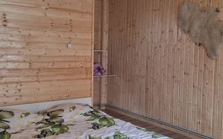 Casa Vacanta Rucar Saticu de Jos Arges - Poză 22