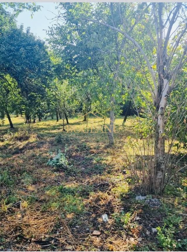 BG131-Teren: 2.822 mp pentru Proiect Imobiliar Premium COMISION 0% - Poză 4