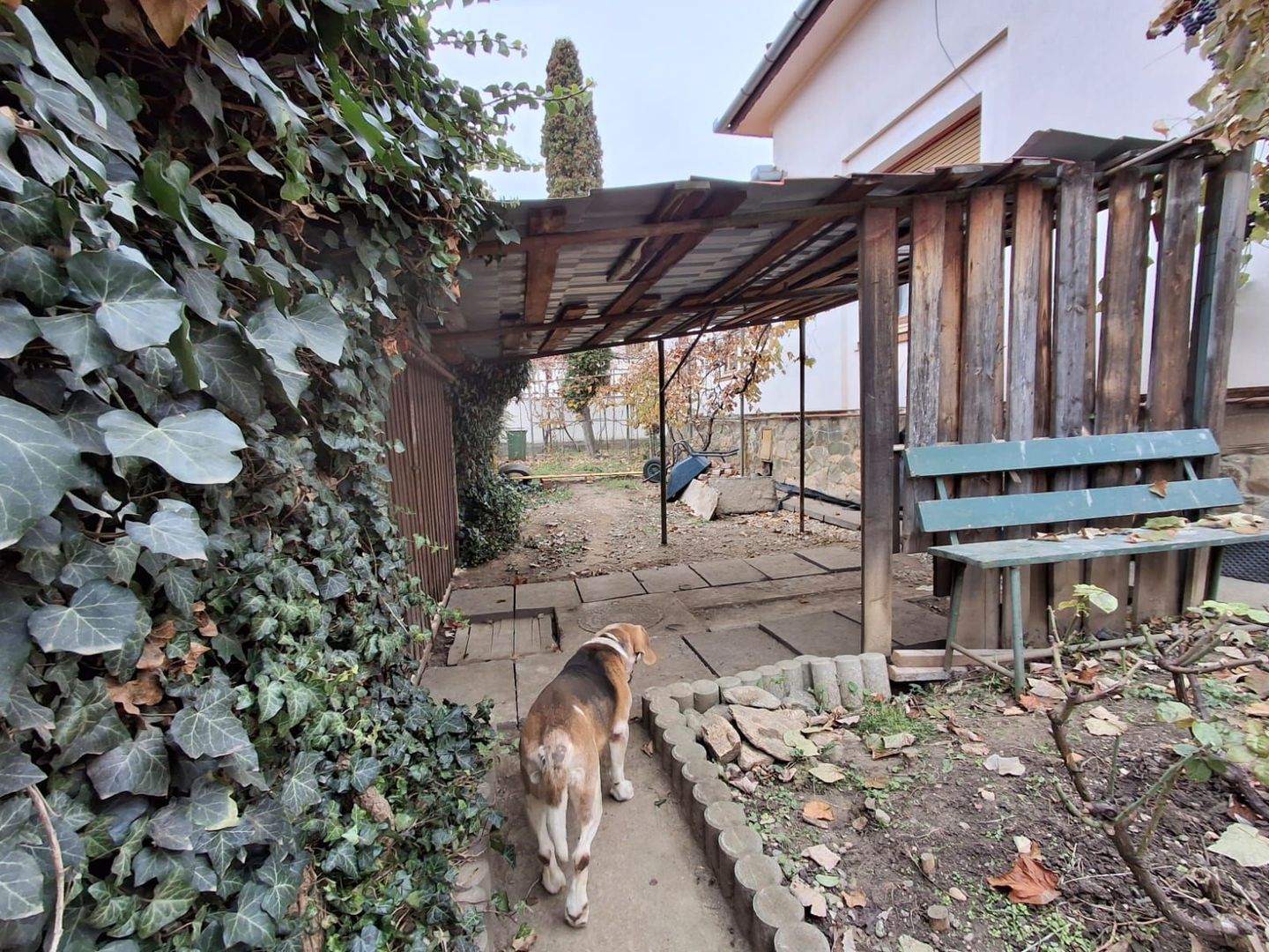 Casa de vanzare in Sibiu, birouri, clinica ,Parcul Sub Arini - Poză 20