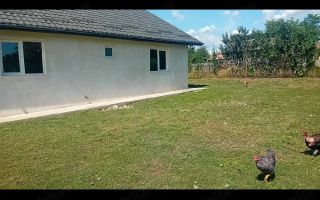 Casă nouă de vânzare în Erbiceni, Iași - 2 dormitoare, living spațios, 105 mp construiți - Poză 2