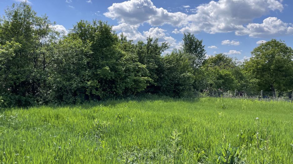 Casa in Comuna Geaca - Poză 19