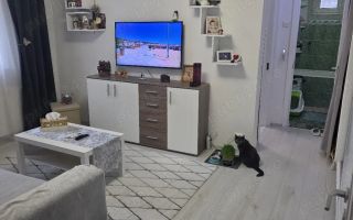 Apartament 2 camere, Bdul Timisoara, Frigocom, Drumul Taberei, mobilat - Poză 1