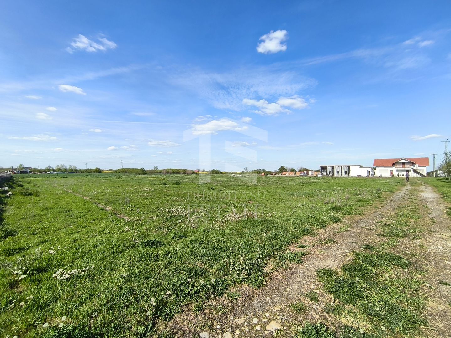 Casa cu 4 camere cu teren de 14,340 mp + platforma de beton cu hala - Poză 4