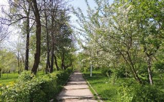 Apartament 3 camere premium Tatarasi Parcul Ciurchi - Poză 21