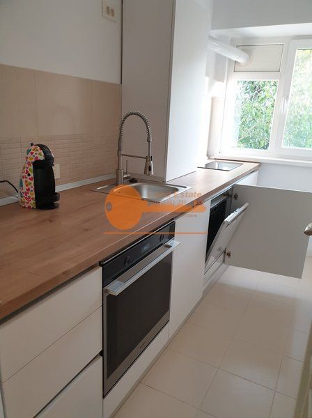 Studio Modern cu Vedere la lacul Herastrau - Poză 11