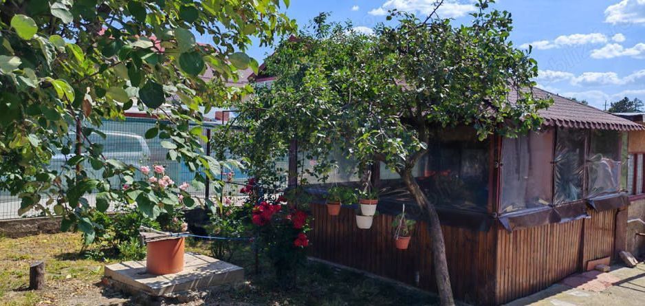 Casa cu 3 camere | Buftea | Toate utilitatile | Langa padure si lac - Poză 2