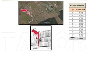 Teren 25.26ha Dascalu / DJ 200 - Poză 5