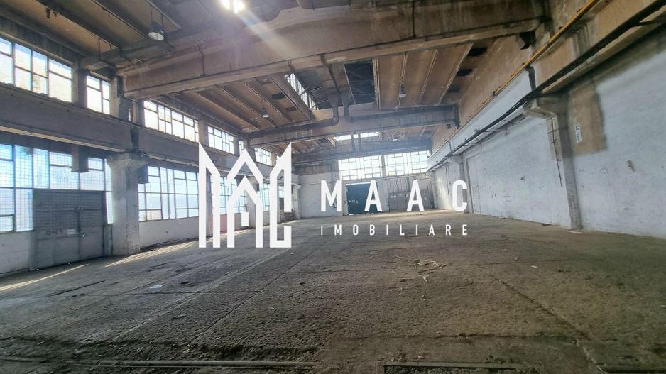 Hala Industriala | 1500MPU | Lazaret - Poză 6