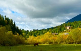 Teren de vanzare in Colibita , 500-6000 mp - Poză 2