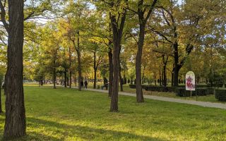 2 camere zona Soarelui, centrala proprie, loc de parcare - Poză 7