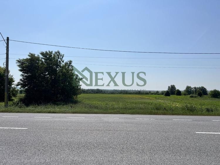 Teren de vânzare – 9.969 mp, Calea Romanului - Poză 3