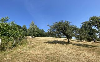 Teren extravilan de vânzare în Râșnov | 6.070 mp | Vedere panoramică - Poză 8