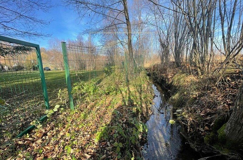 Teren 3349 mp de Vânzare | Bran – Panoramă Munții Bucegi - Poză 15