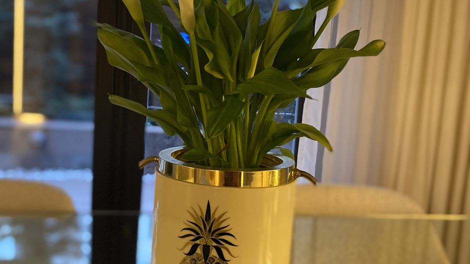 Nordului Herastrau 4 camere grădină proprie la 150m de parc - Poză 5