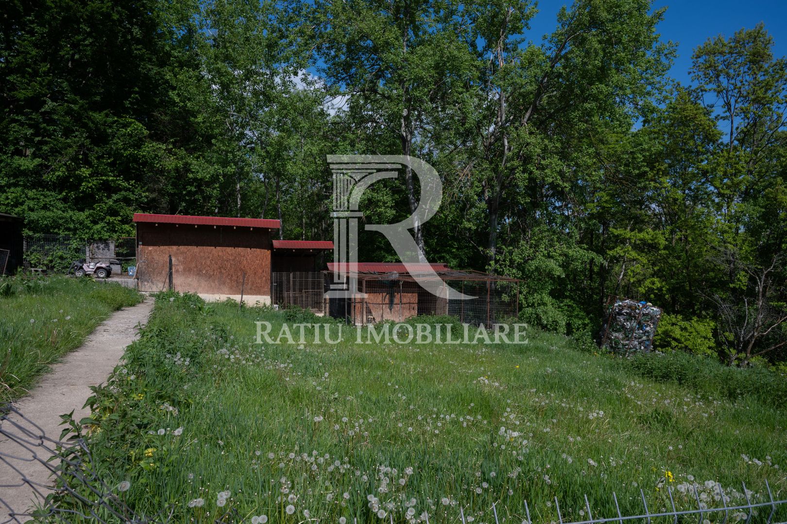 Proprietate Unică în Natură | Teren Mare + Intimitate Totală - Poză 4
