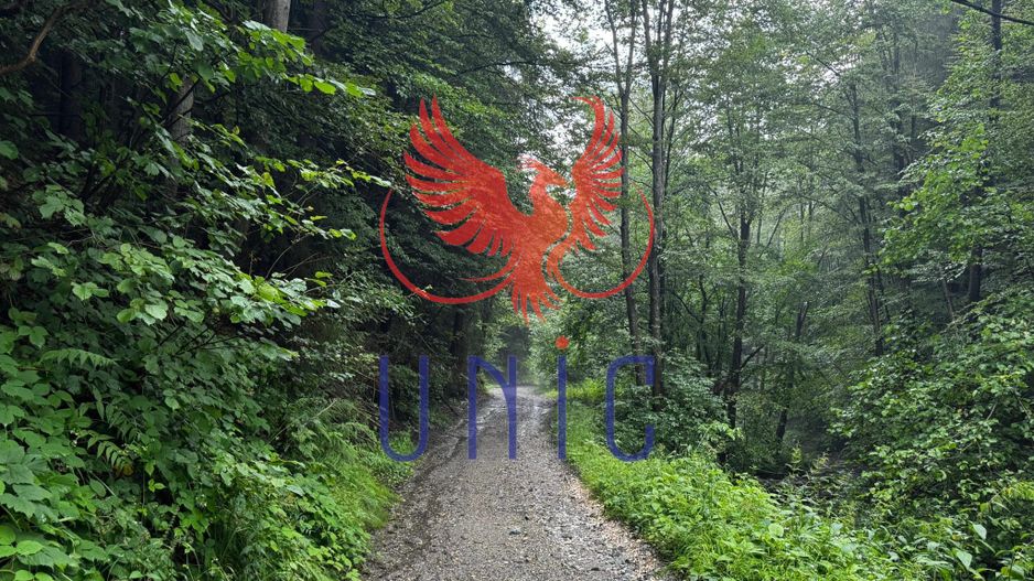 18000 mp de natura pura ,Lupeni, langa Straja - Poză 33