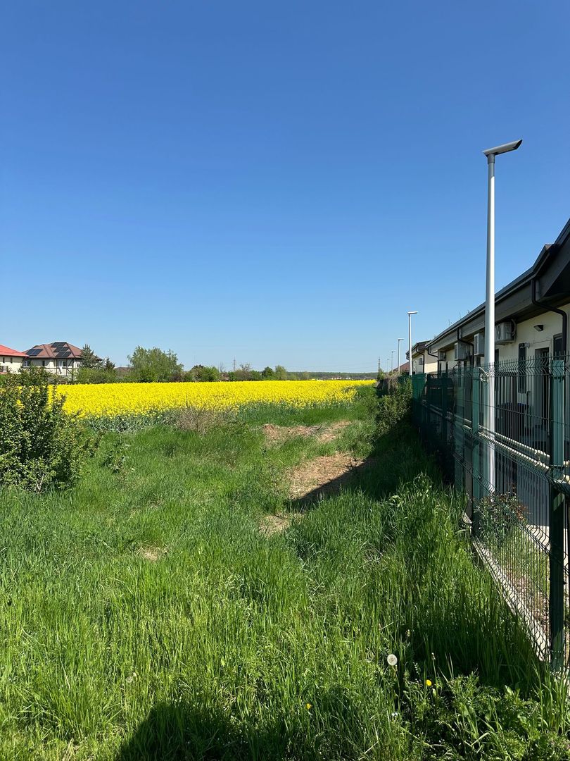 Teren intravilan 26.300 mp Saftica Balotesti-  PUZ în lucru - Poză 15