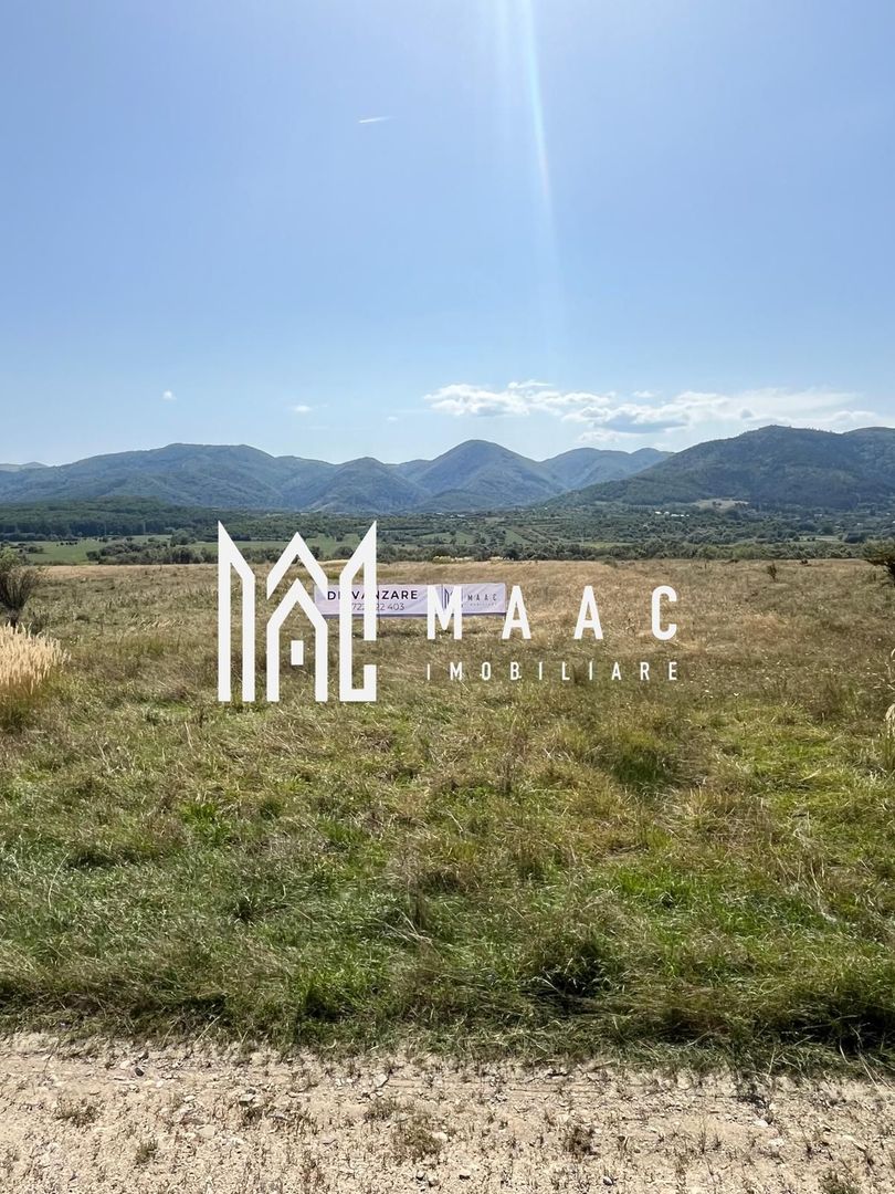 Teren extravilan | 7.800 mp | Saliste - Poză 5