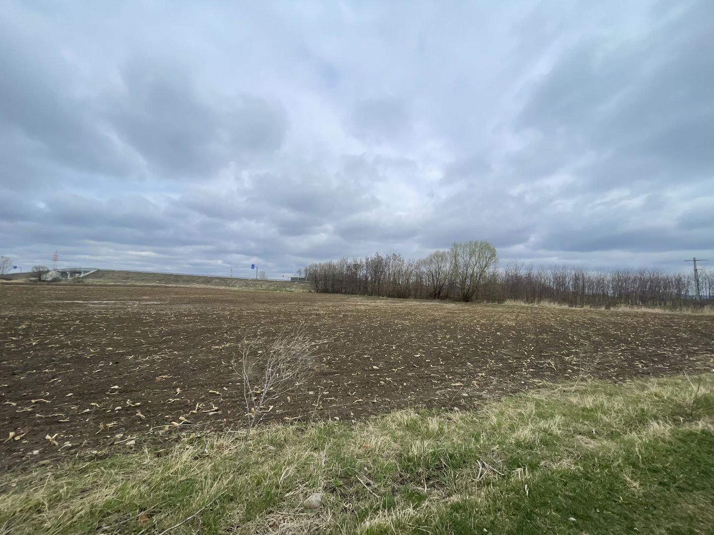 TEREN INTRAVILAN | 50 ARI | ZONA PERIFERICA RADAUTI - Poză 7