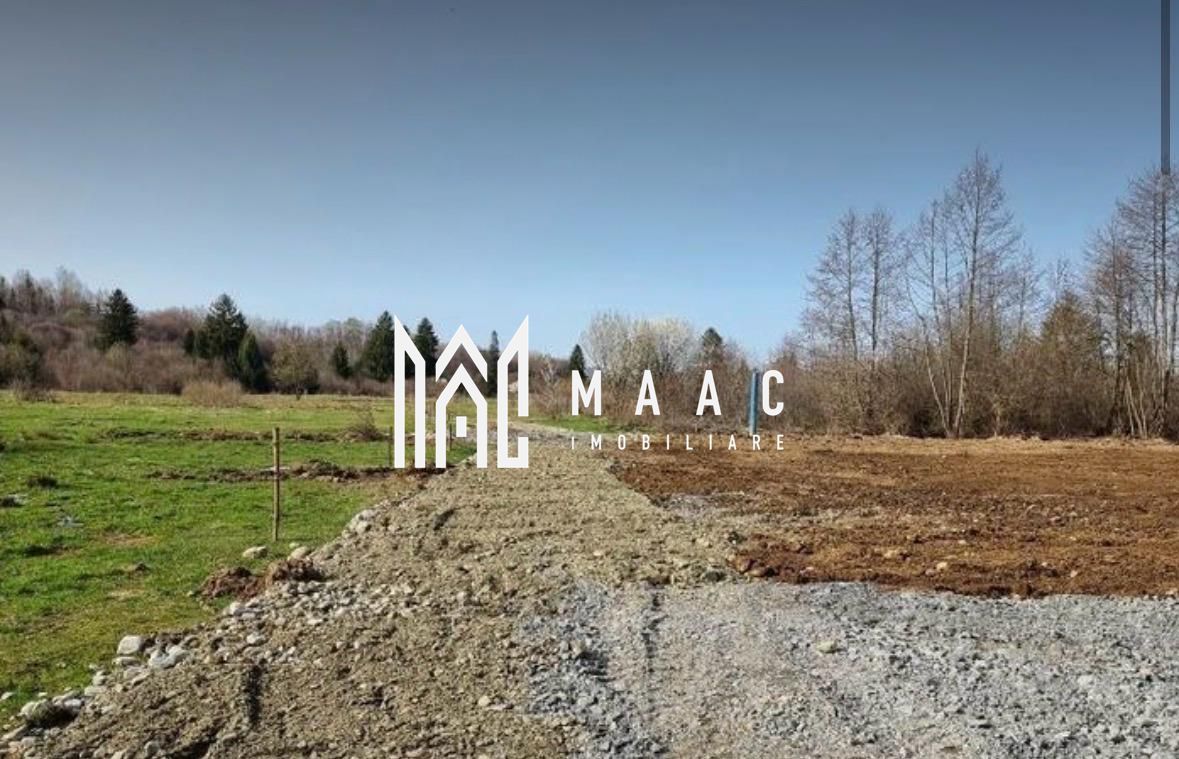 TEREN INTRAVILAN 4007 MP I VALEA AVRIGULUI - Poză 3