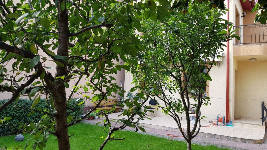 6 cam | vila | Gradinita birou | | Bucurestii Noi Bazilescu - Poză 9