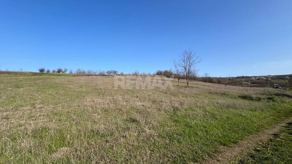 Teren pentru grădină / investiție – 14,86 ari în Ghidighici, zonă liniștită și ecologică - Poză 4