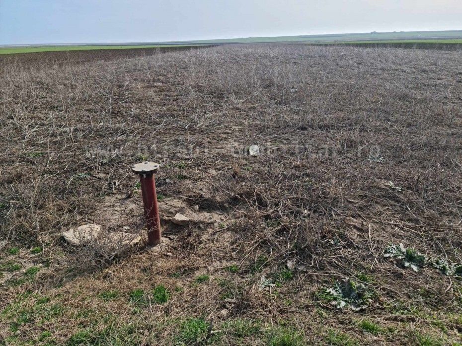 Vânzare teren agricol comasat direct la Soseaua  Istria - Sinoe - Poză 4