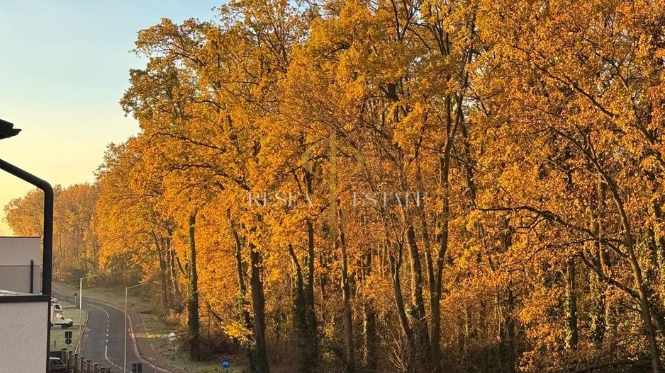 Apartament cu 2 camere - vedere la pădure| Ghiroda - Poză 9