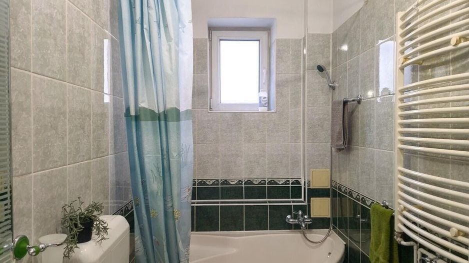 Lunei - Ion Neculce, 2 Apartamente. Mansarda 157 mp. Anexe, Lot 475 mp - Poză 31
