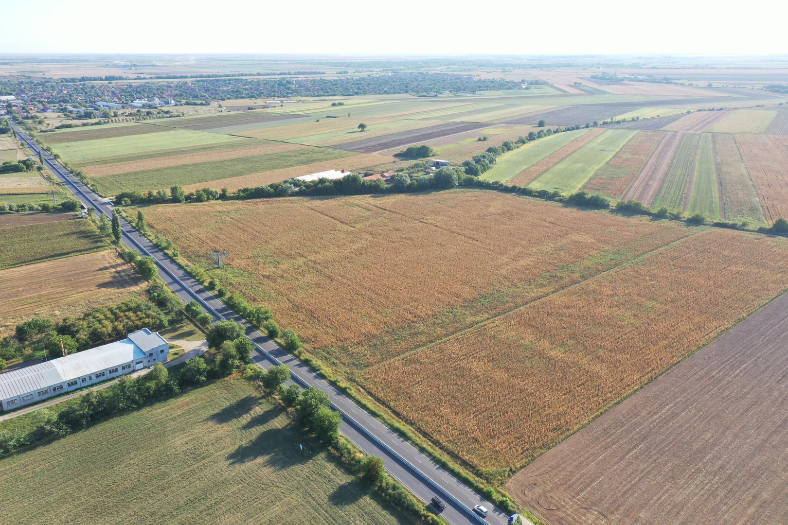 TEREN SAG 2 HA  CU FRONT STRADAL 56 ML LA SOSEA - Poză 3