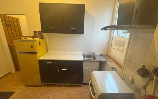 Apartament 1 camera zona Balcescu cu centrala - Poză 4