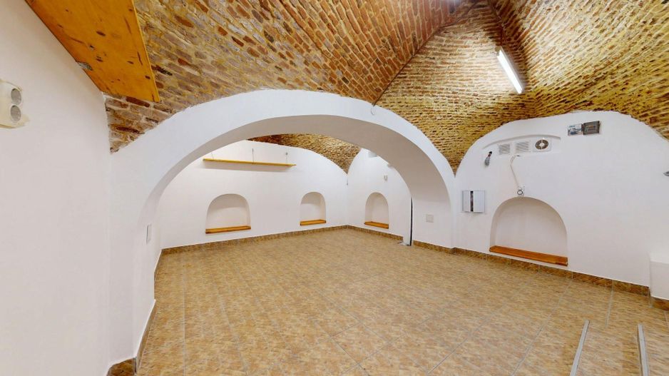 Casă cu șarm istoric lângă Cișmigiu – 6 camere, atrium natural, cramă - Poză 33