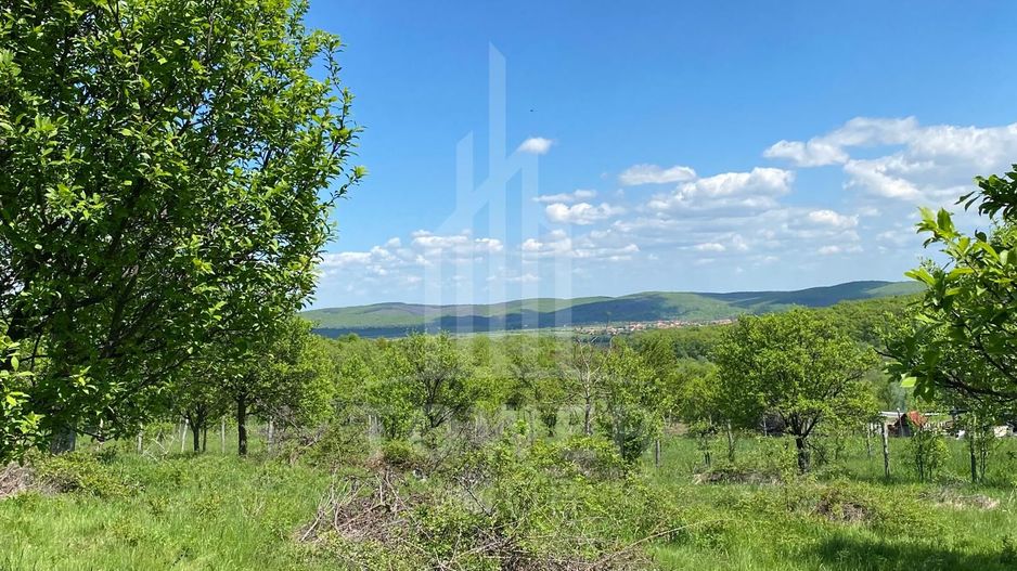 Teren premium 1000 mp-Sibiel - Poză 3