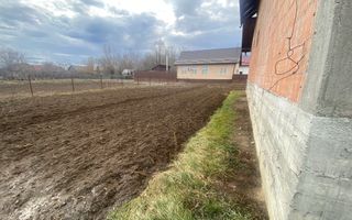 Casa la rosu | Fratautii Noi | 13 ARI - Poză 18