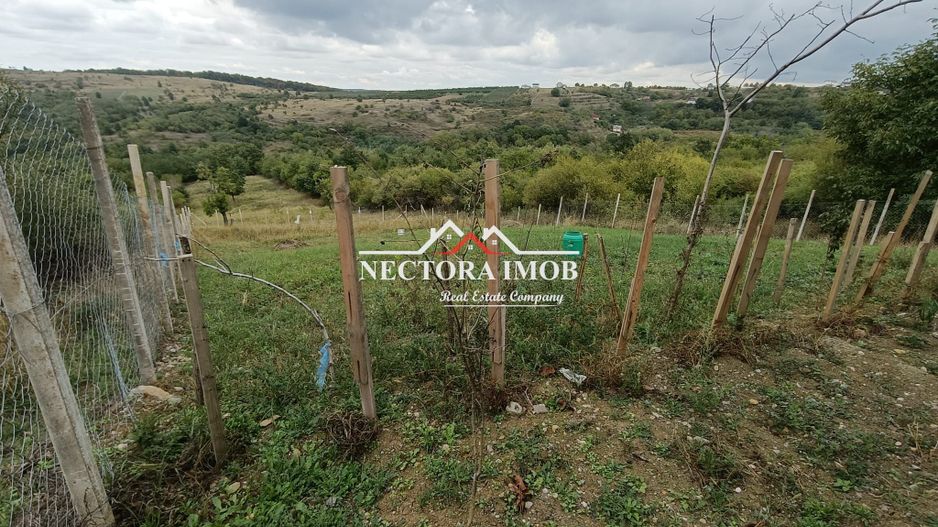 EXCLUSIVITATE Nectora Imob-Teren Intravilan cu panorama la lac,4837 mp - Poză 3