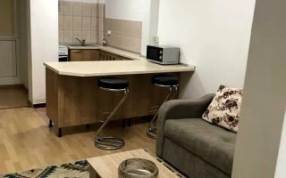 Apartament 1 camera, 30 mp, recent renovat, zona Profi - Poză 3