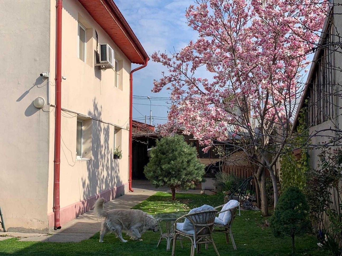Vand  casa curte  + teren + SPATIU COMERCIAL - Poză 1