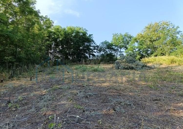 Casă renovată în stil tradițional, Romanesti, Iași – 3 camere, 50 mp utili, teren 3240 mp - Poză 14