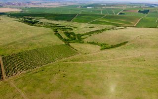 Teren arabil de 2009 hectare în Mureş - Poză 3